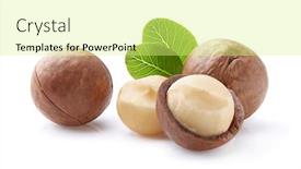  Presentation with leaves - Amazing slides having macadamia-with-leaves-on-white backdrop and a blonde colored foreground