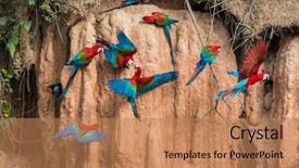  Presentation with clay - PPT layouts having maiden s tower in istanbul background and a teal colored foreground