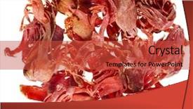  Presentation with octopus on isolated white - Audience pleasing theme consisting of mace isolated on white background backdrop and a red colored foreground