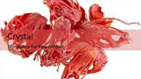  Presentation with history earth globe isolated white - Cool new theme with mace isolated on white background backdrop and a red colored foreground