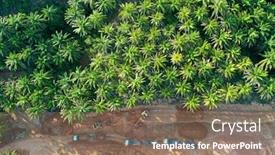  Presentation with construction site construction - Audience pleasing PPT layouts consisting of machinery-destroying-forest-excavator backdrop and a violet colored foreground