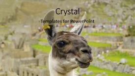  Presentation with inca machu picchu peru view - Presentation theme consisting of machu-picchu-peru-llama background and a coral colored foreground