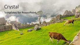  Presentation with inca machu picchu peru view - Slide deck featuring machu-picchu-peru-llamas background and a light gray colored foreground