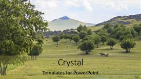  Presentation with horse and carriage isolated - Slide deck having macine - carriage horse ride hilly landscape background and a  colored foreground