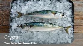  Presentation with ice - PPT theme enhanced with mackerel fresh fish on ice in a wooden background background and a gray colored foreground