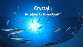  Presentation with sardines - Amazing presentation design having mackerels hunting them in ocean backdrop and a ocean colored foreground