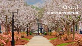  Presentation with usa health economics - PPT theme consisting of macon-georgia-usa background and a  colored foreground