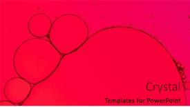  Presentation with pink colour - 