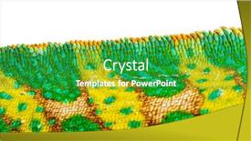  Presentation with skin - Presentation theme enhanced with macro-detail-of-a-veiled background and a shamrock green colored foreground