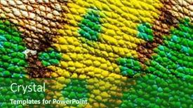  Presentation with skin - Slide deck featuring macro-detail-of-a-veiled background and a forest green colored foreground