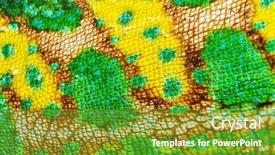  Presentation with skin - PPT layouts enhanced with macro-detail-of-a-veiled background and a tawny brown colored foreground