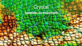  Presentation with skin - Presentation theme featuring macro-detail-of-a-veiled background and a shamrock green colored foreground