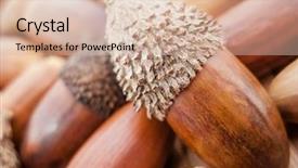  Presentation with pile - Beautiful slide set featuring macro detail of an acorn backdrop and a lemonade colored foreground