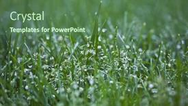  Presentation with dew - Beautiful presentation theme featuring macro dew drops on fresh green grass backdrop and a ocean colored foreground