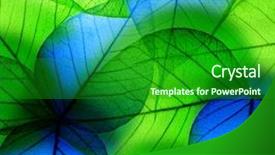  Presentation with abstract green - Audience pleasing theme consisting of macro-green-and-blue-leaf backdrop and a forest green colored foreground