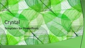  Presentation with green leaves - Presentation design enhanced with teamwork rowing - portrait of happy creative business background and a  colored foreground.