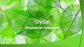  Presentation with green leaves - Beautiful theme featuring macro green leaves seamless background backdrop and a shamrock green colored foreground