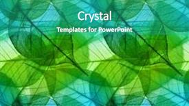  Presentation with green leaves - Beautiful slides featuring macro green leaves seamless background backdrop and a teal colored foreground