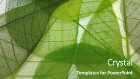 Presentation with green foliage - PPT theme with macro green leaves texture background background and a tawny brown colored foreground