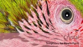  Presentation with white green - PPT layouts featuring macro-head-shot background and a  colored foreground