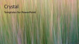  Presentation with camera - PPT theme featuring macro herbage - background of swaying grasses intentional background and a  colored foreground