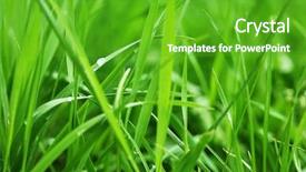  Presentation with pile of fresh cassava - Presentation design consisting of macro herbage - close up of fresh thick background and a shamrock green colored foreground