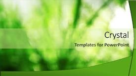  Presentation with green and purple mardi gras - Amazing presentation design having macro herbage - dew on green grass closeup backdrop and a soft green colored foreground