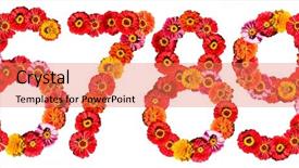  Presentation with lime green and white flower - Beautiful presentation theme featuring macro herbage - flower number 6789 isolated backdrop and a  colored foreground