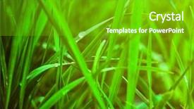  Presentation with pistachio texture nuts green fresh - Cool new PPT theme with macro herbage - fresh green grass may used backdrop and a  colored foreground