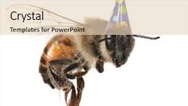  Presentation with honey bee - Slide deck enhanced with image of common honey bee background and a lemonade colored foreground