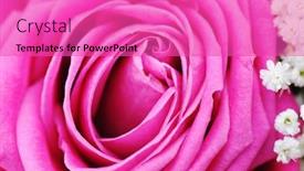  Presentation with water droplets - Slides consisting of multi color flexible straws on white background background and a lemonade colored foreground.