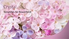  Presentation with gentle - Theme enhanced with macro-image-of-different background and a lemonade colored foreground