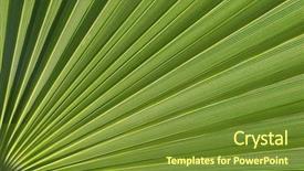  Presentation with green industries plant - Beautiful presentation theme featuring eco resort - macro image of green tropical backdrop and a tawny brown colored foreground