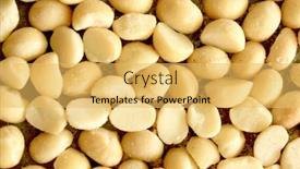  Presentation with macadamia nuts - Slide set consisting of macro macadamia nuts 1 background and a yellow colored foreground