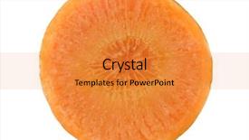  Presentation with isolated paw prints over white - Slide set having macro-of-a-carrot-slice background and a gold colored foreground