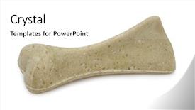  Presentation with dog bone chewing - Cool new presentation design with science - broken old a diskette backdrop and a light gray colored foreground