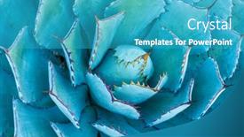  Presentation with succulent - Slides consisting of macro-of-agave-succulent-plant background and a teal colored foreground