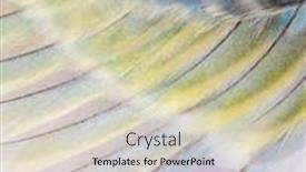  Presentation with abstract rainbow color prism - Presentation theme consisting of macro-of-blue-rainbow-feathers background and a soft green colored foreground