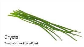 Presentation with leaves - Cool new presentation theme with macro-of-chives-leaves-isolated backdrop and a white colored foreground