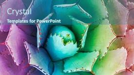  Presentation with succulent - Slide set featuring macro-of-colorful-agave-succulent background and a ocean colored foreground