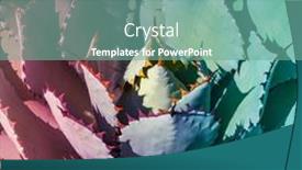  Presentation with succulent - PPT layouts consisting of macro-of-colorful-agave-succulent background and a  colored foreground