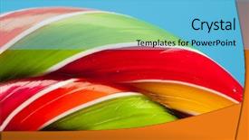  Presentation with lollipop - Colorful presentation design enhanced with macro of colorful lollipop candy backdrop backdrop and a light blue colored foreground