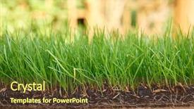  Presentation with dew - Amazing slide set having macro of dew drops backdrop and a tawny brown colored foreground