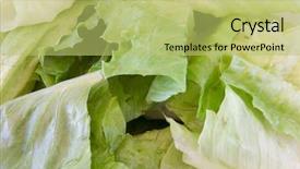  Presentation with green leaf - Colorful PPT layouts enhanced with macro of green leaf lettuce backdrop and a yellow colored foreground
