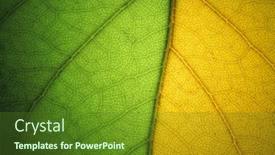  Presentation with element - Presentation theme with macro-of-leaf-element background and a tawny brown colored foreground