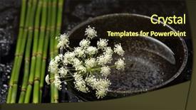  Presentation with stem - Cool new presentation theme with macro of pink orchid with bamboo stem on bamboo stick straw mat backdrop and a wine colored foreground