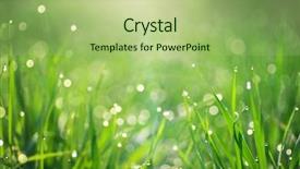  Presentation with nature - Slide deck featuring macro of raindrop and bokeh background and a mint green colored foreground