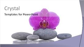  Presentation with orchid - Beautiful presentation theme featuring macro of red orchid with gray stones backdrop and a white colored foreground