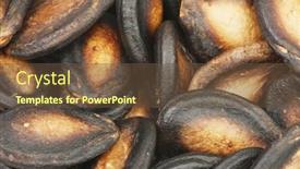  Presentation with pumpkin seeds - Slides featuring macro-of-red-pumpkin-dry background and a tawny brown colored foreground
