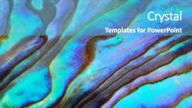  Presentation with sea shell - Amazing slides having macro of sea shell - curves backdrop and a teal colored foreground